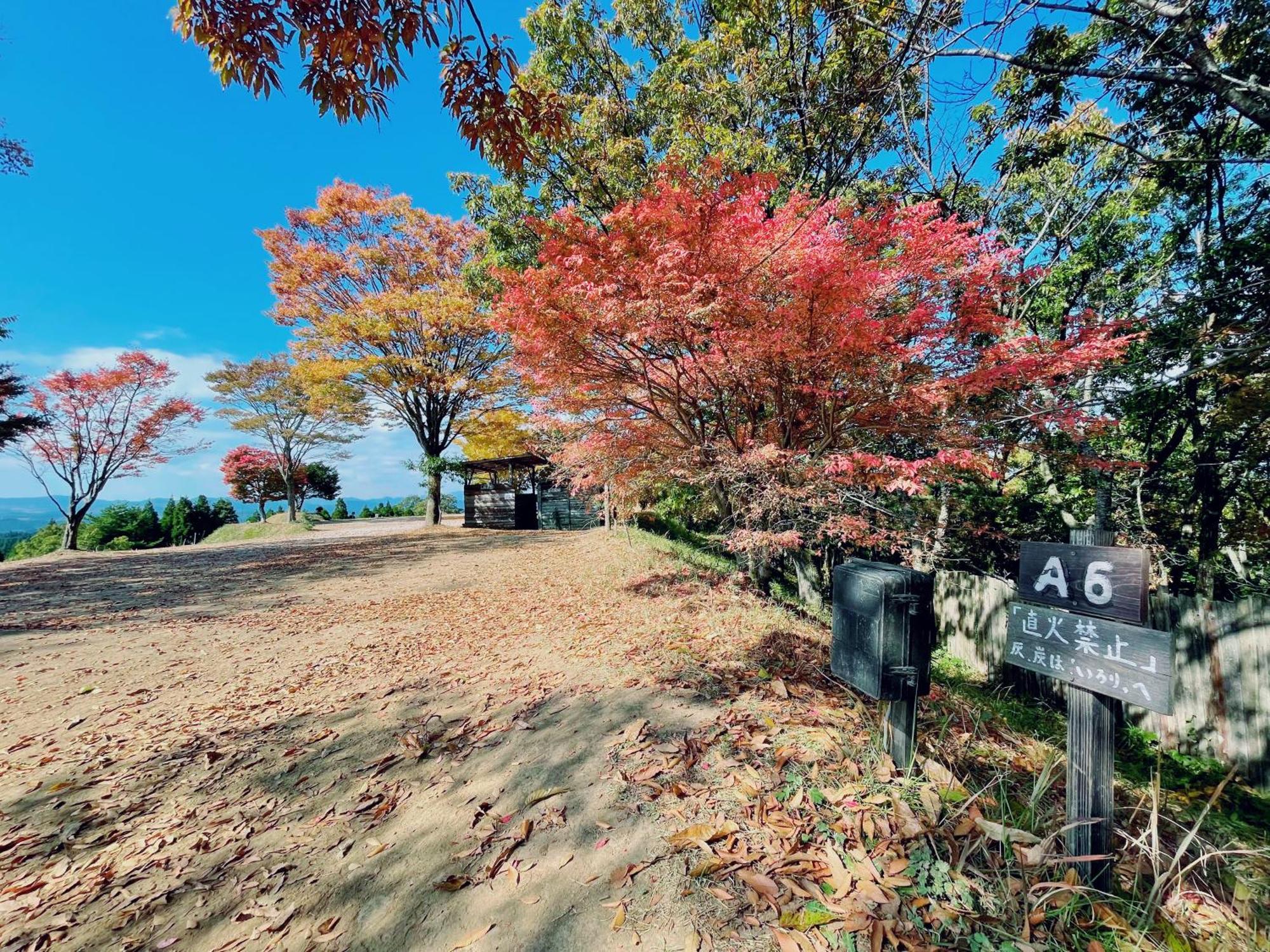 Kurasako Onsen Sakura Villa Minamioguni Eksteriør bilde